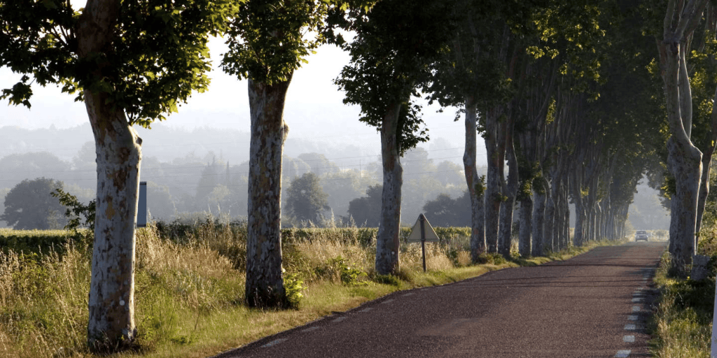 Conduite sportive .